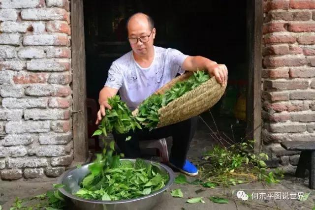 想带你去新邵这个地方，尝尝树叶做成的豆腐，约么？
