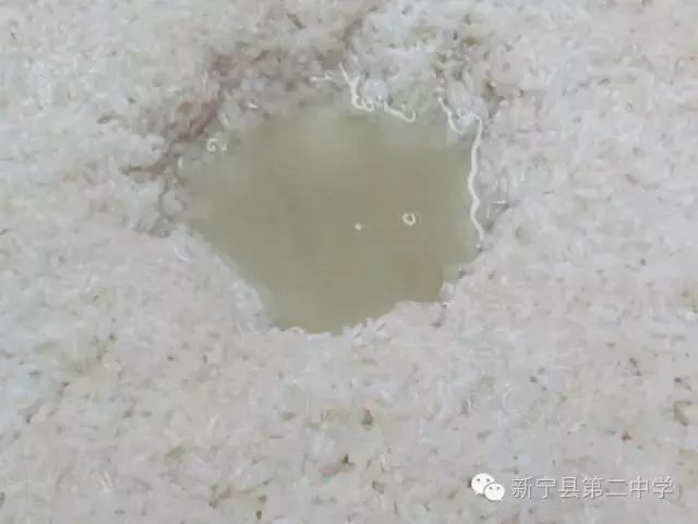 新宁的家酿米酒