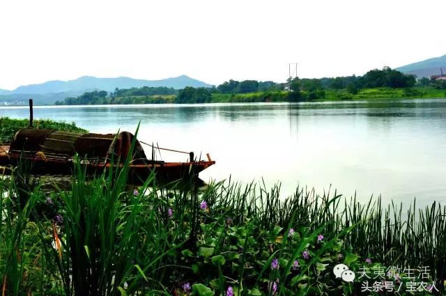 邵阳县天子湖，水墨画般的烟雨迷蒙