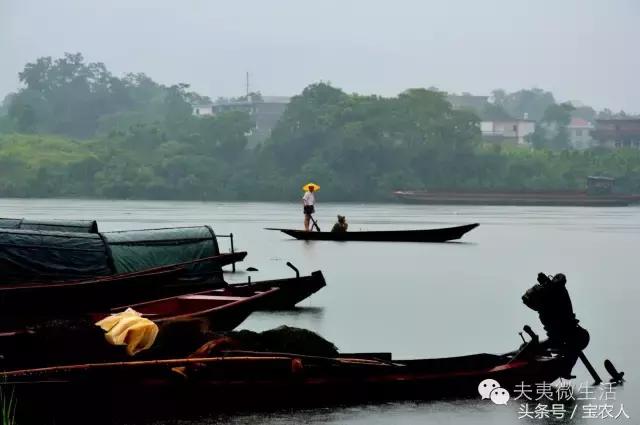 邵阳县天子湖，水墨画般的烟雨迷蒙
