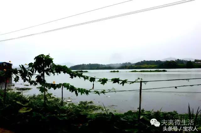 邵阳县天子湖，水墨画般的烟雨迷蒙