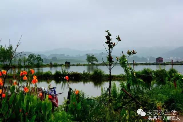 邵阳县天子湖，水墨画般的烟雨迷蒙