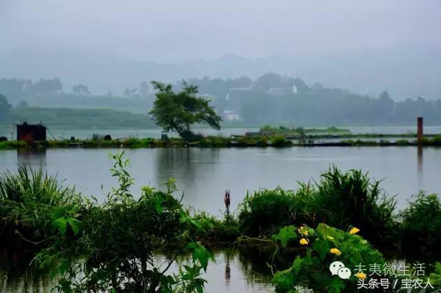 邵阳县天子湖，水墨画般的烟雨迷蒙