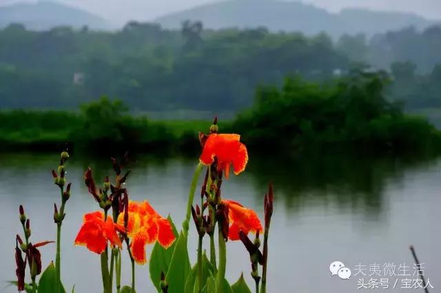 邵阳县天子湖，水墨画般的烟雨迷蒙