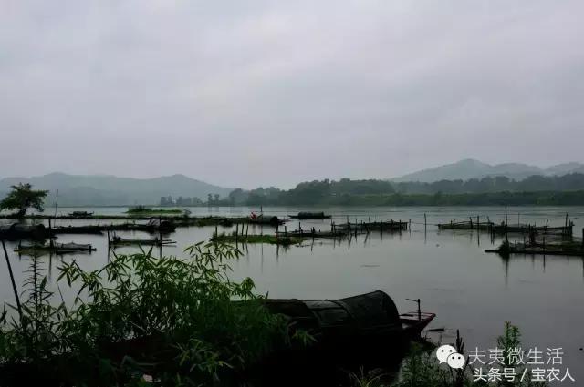 邵阳县天子湖，水墨画般的烟雨迷蒙