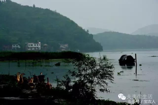 邵阳县天子湖，水墨画般的烟雨迷蒙