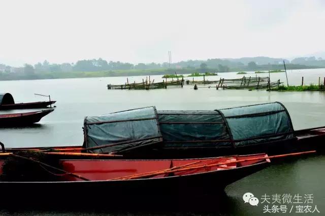 邵阳县天子湖，水墨画般的烟雨迷蒙