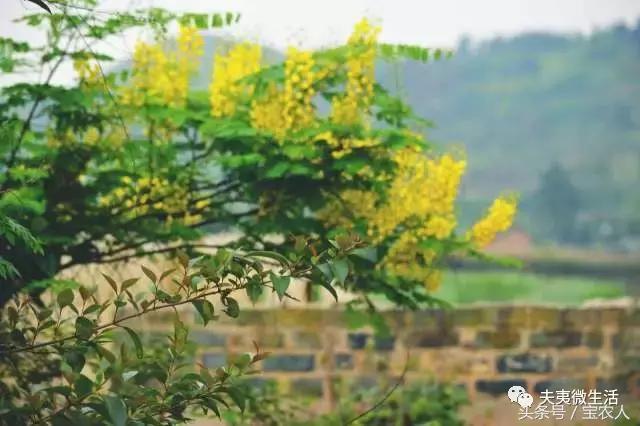 寻访邵阳县境内的神秘古国