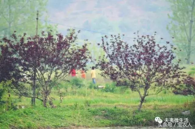 寻访邵阳县境内的神秘古国
