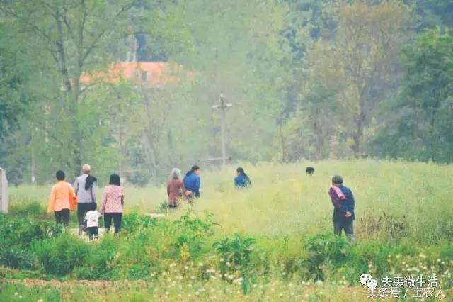 寻访邵阳县境内的神秘古国