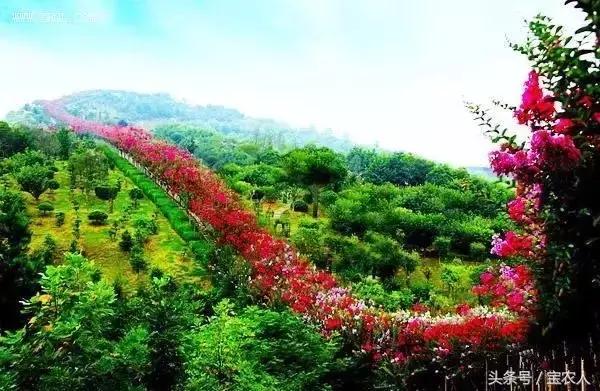 想要秋游何必去远方，邵阳这些地方的美景让你应接不暇！