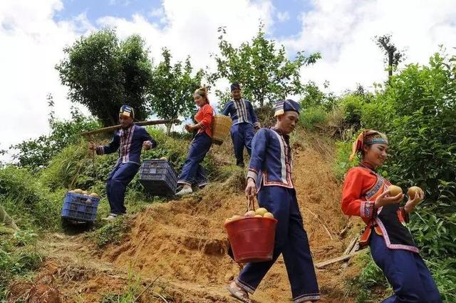 瑶山麻林 美丽乡村