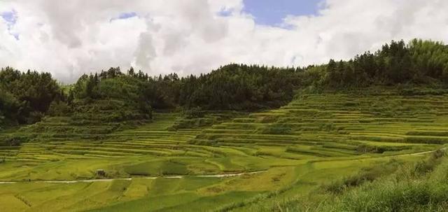 瑶山麻林 美丽乡村