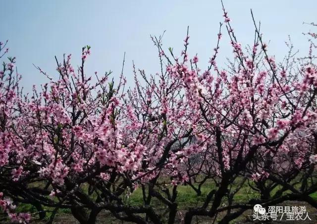邵阳县六条旅游线路等你来体验，看最美邵阳县风光