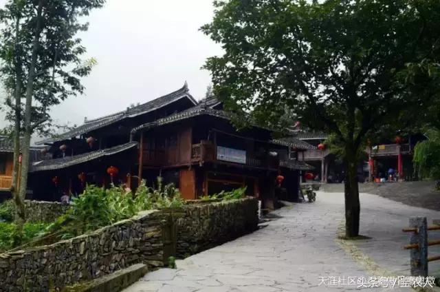 神奇的绿洲绥宁，“人生如此自可乐”，长留此间不愿归
