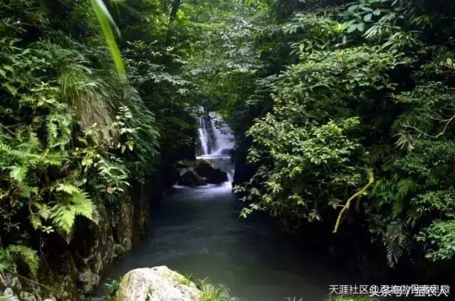 神奇的绿洲绥宁，“人生如此自可乐”，长留此间不愿归