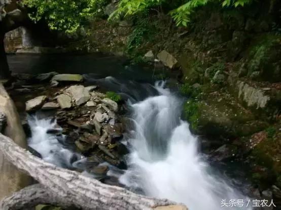 神奇的绿洲绥宁，“人生如此自可乐”，长留此间不愿归
