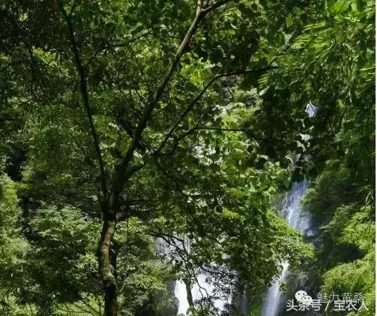 神奇的绿洲绥宁，“人生如此自可乐”，长留此间不愿归