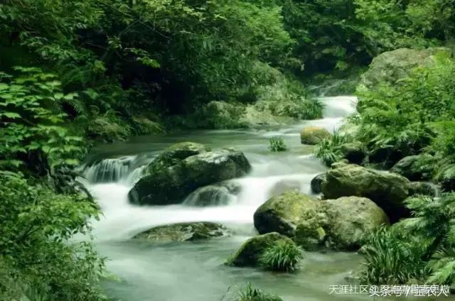 神奇的绿洲绥宁，“人生如此自可乐”，长留此间不愿归