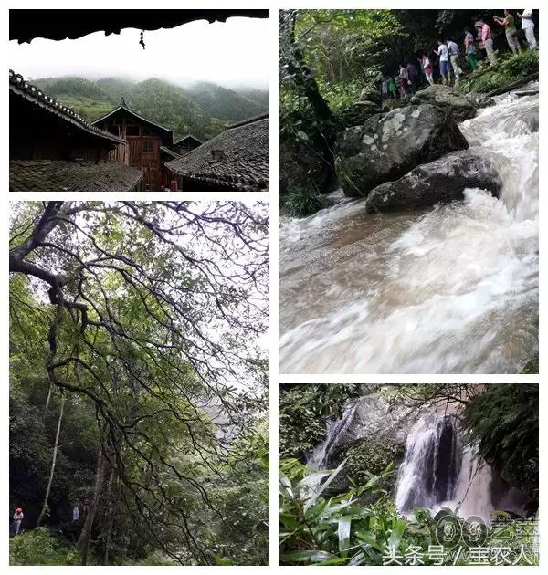 神奇的绿洲绥宁，梦里黄桑