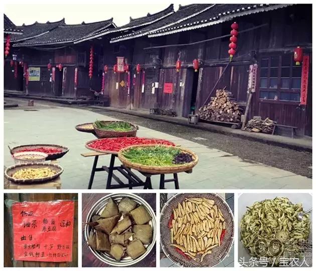 神奇的绿洲绥宁，梦里黄桑