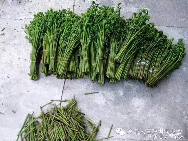 绥宁以后不再叫绥宁了！新的名字是……