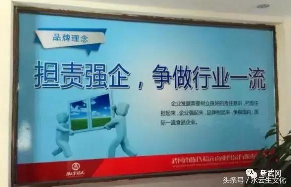 武冈农家女“任性”炼成总裁
