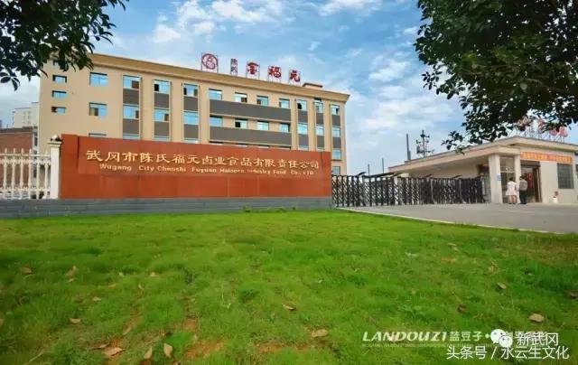 武冈农家女“任性”炼成总裁