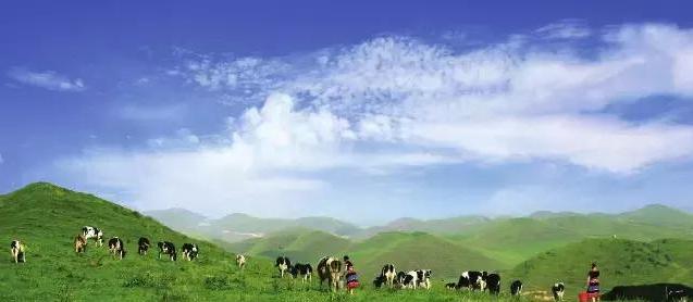 抓住夏天的尾巴，一起来“城步南山”吧！