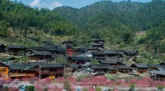 抓住夏天的尾巴，一起来“城步南山”吧！