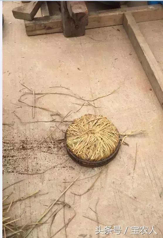 湖南最古老的榨油法，纯手工制造，你想尝吗？