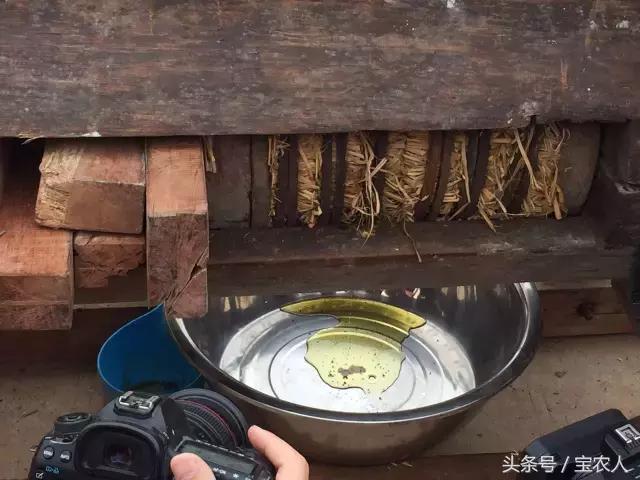 湖南最古老的榨油法，纯手工制造，你想尝吗？