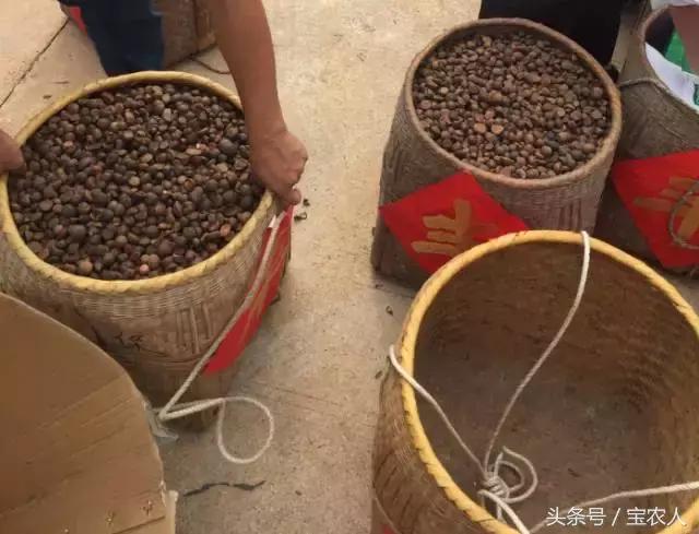 湖南最古老的榨油法，纯手工制造，你想尝吗？