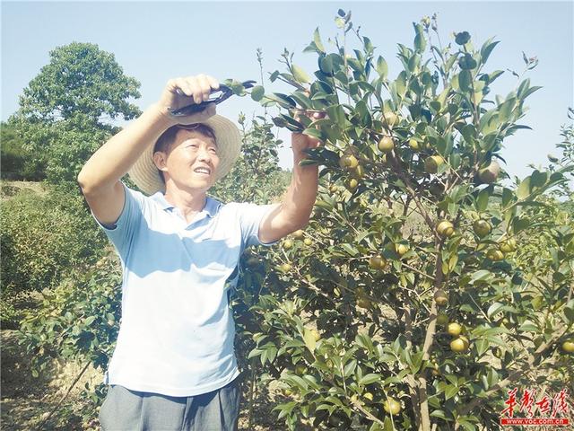 邵阳，在开放发展中崛起