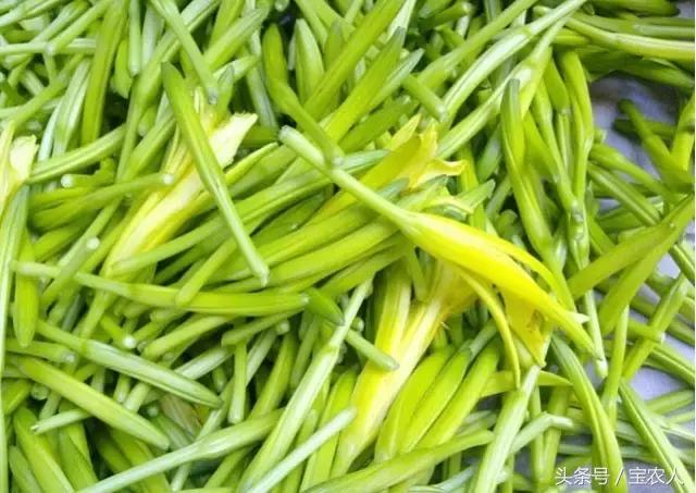来自家乡的贡品︱天然无硫特级黄花菜现在开抢了