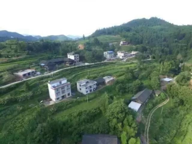 隆回有个驰名世界的百灵地
