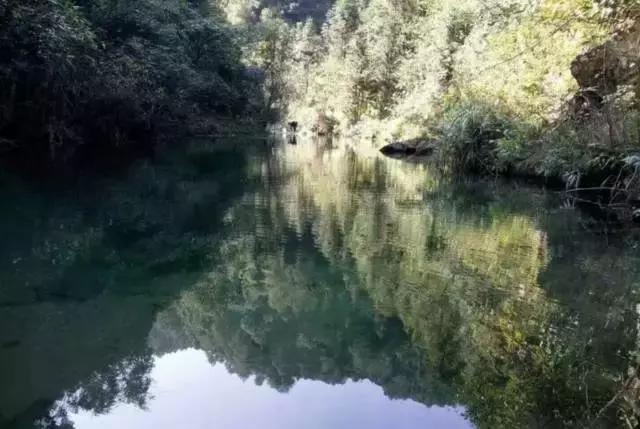 隆回有个驰名世界的百灵地
