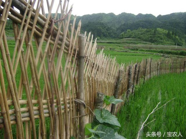 奇美邵阳，苗乡城步长安营