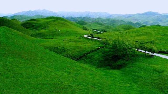 南方的“呼伦贝尔草原”——国家级风景名胜区