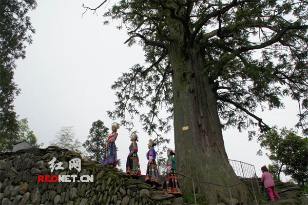 城步大寨村：让游客流连忘返