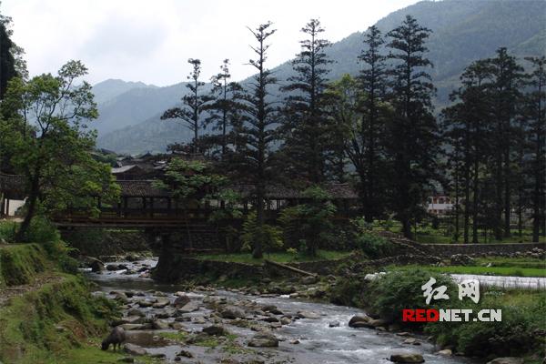 城步大寨村：让游客流连忘返