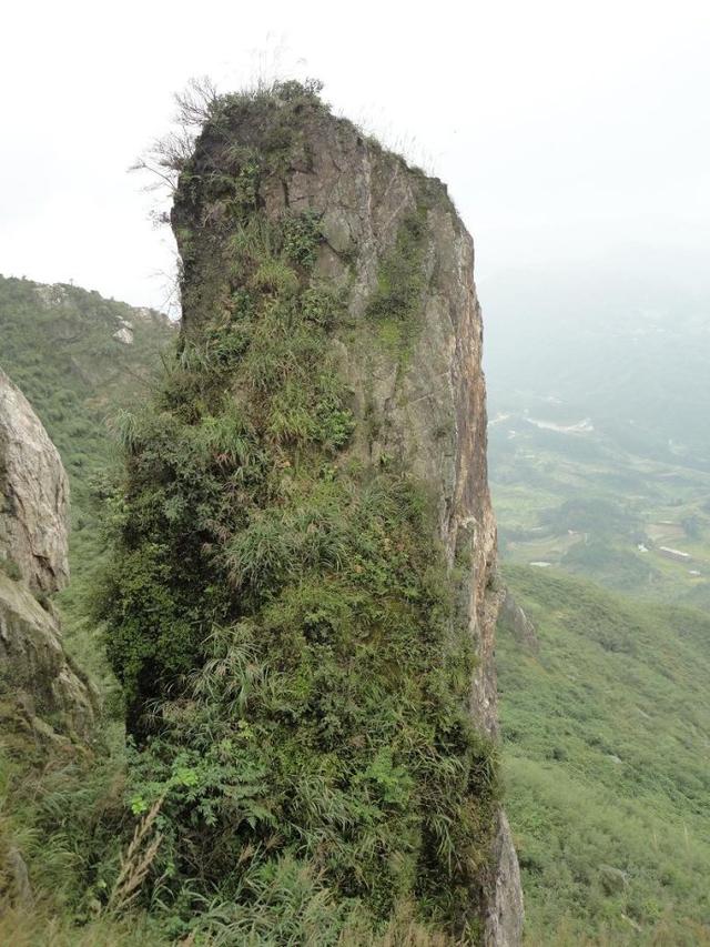 西乡印象——长乐