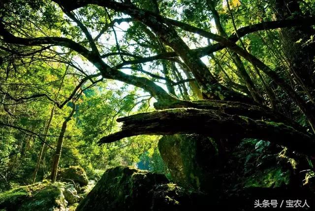 起舞山水间！邵阳这个县藏着N种玩法，文化旅游大放异彩