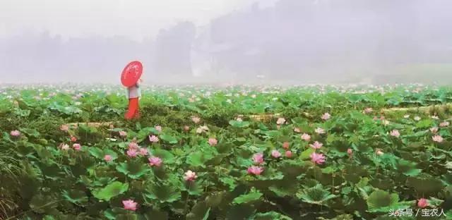 起舞山水间！邵阳这个县藏着N种玩法，文化旅游大放异彩