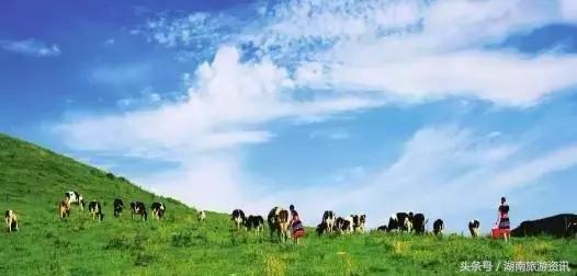 国庆超级黄金周来了 去邵阳乐呵乐呵