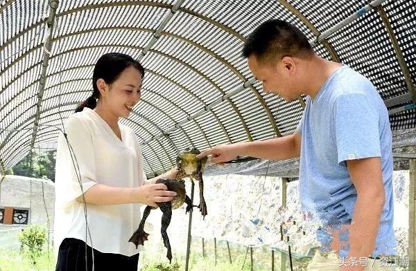 竹筒烤牛蛙，味道有点怪，你吃过没？