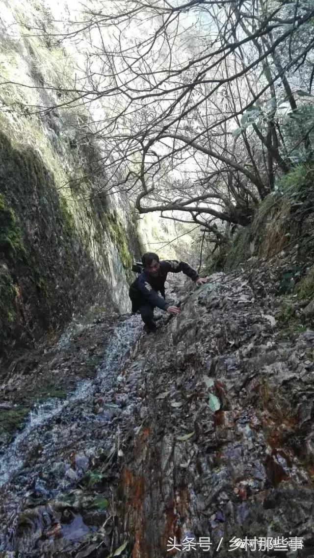 新宁县高冠山发现天梯峡谷