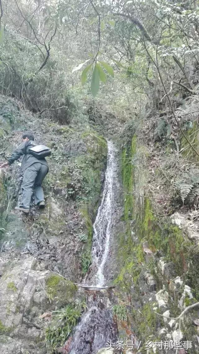 新宁县高冠山发现天梯峡谷