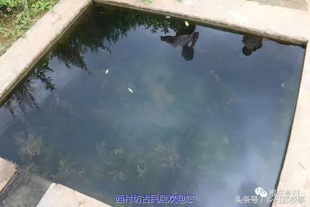 追寻食物的源头，还原最初的味道——安山豆腐炼成记！
