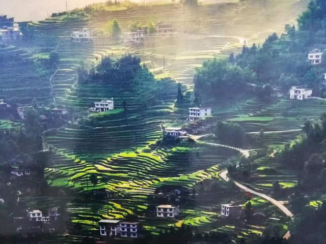 舜皇山上话梯田